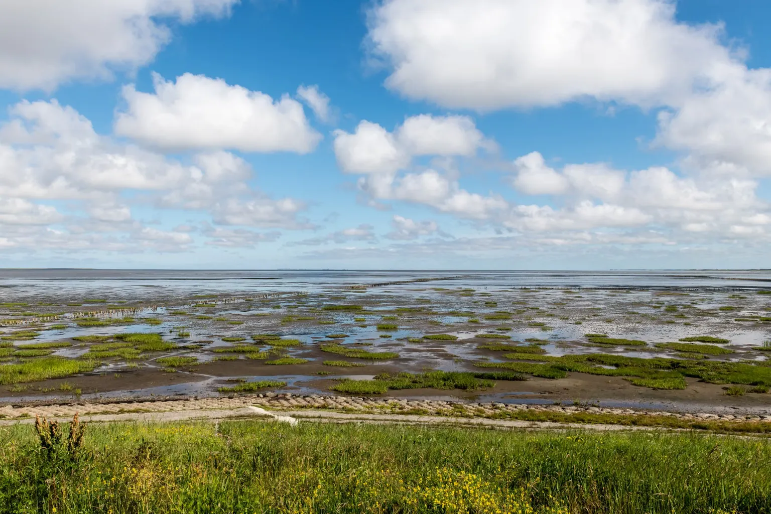 Afsluitdijk Wadden Center Eintritt: Ticketoptionen und Zugang