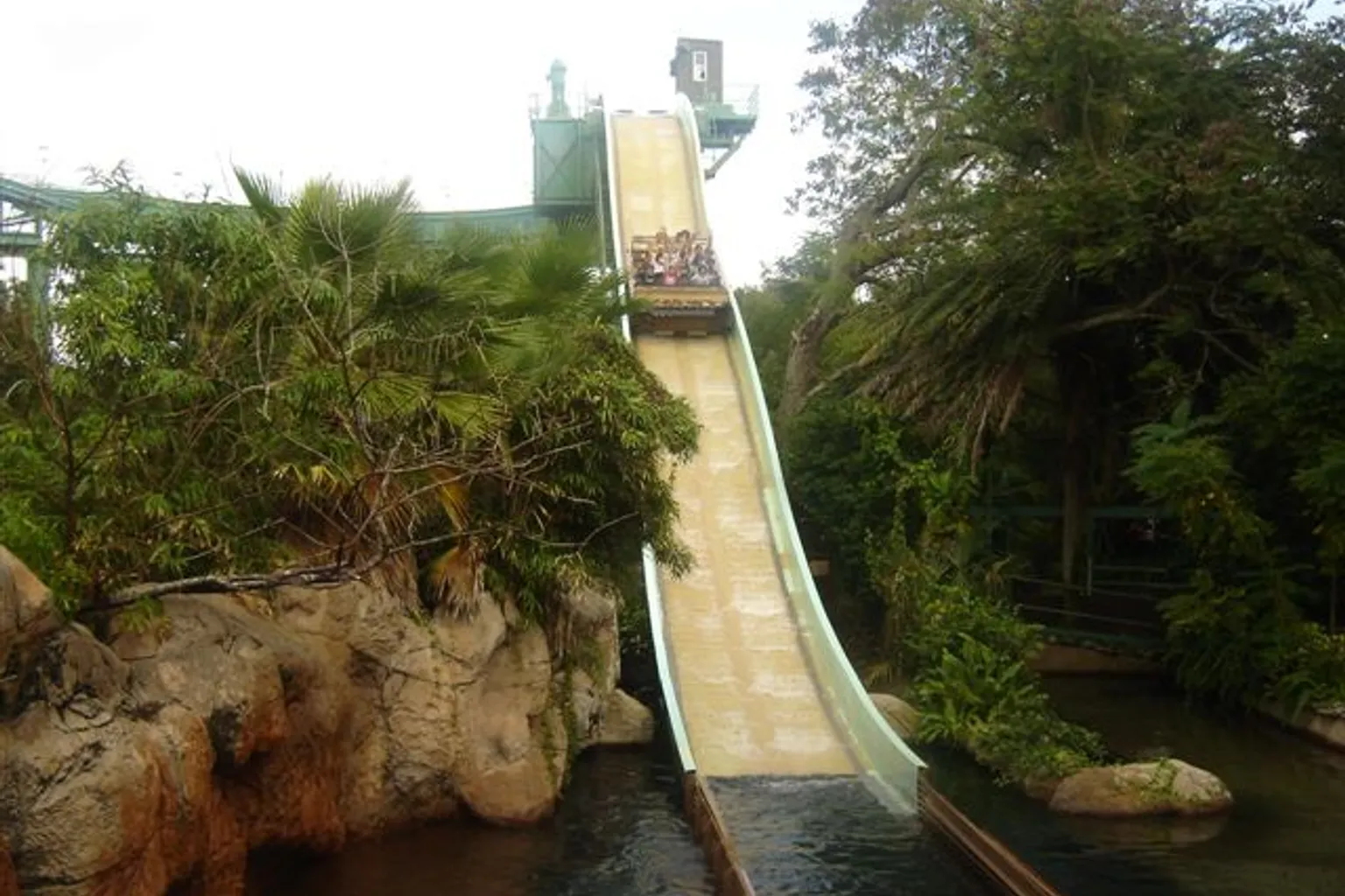 Busch Gardens Tampa Bay Eintritt: Logistik und Ticket-Optionen