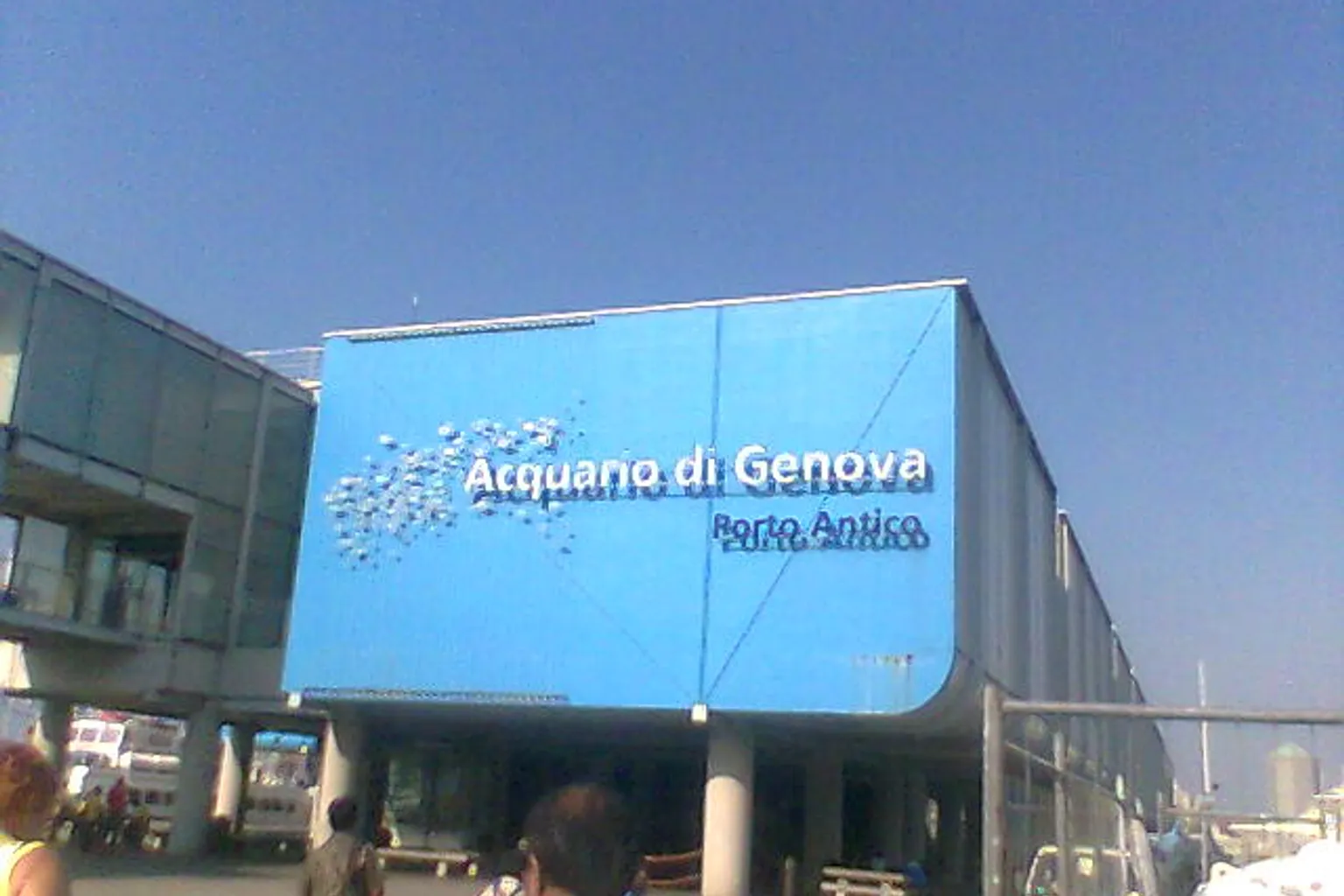 Aquarium Genua Tickets: Wichtige Details vor der Buchung