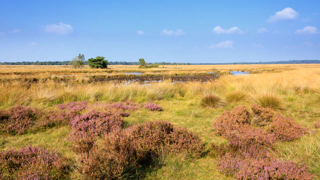 Nationalpark De Hoge Veluwe