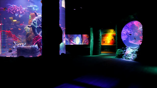 SEA LIFE Michigan