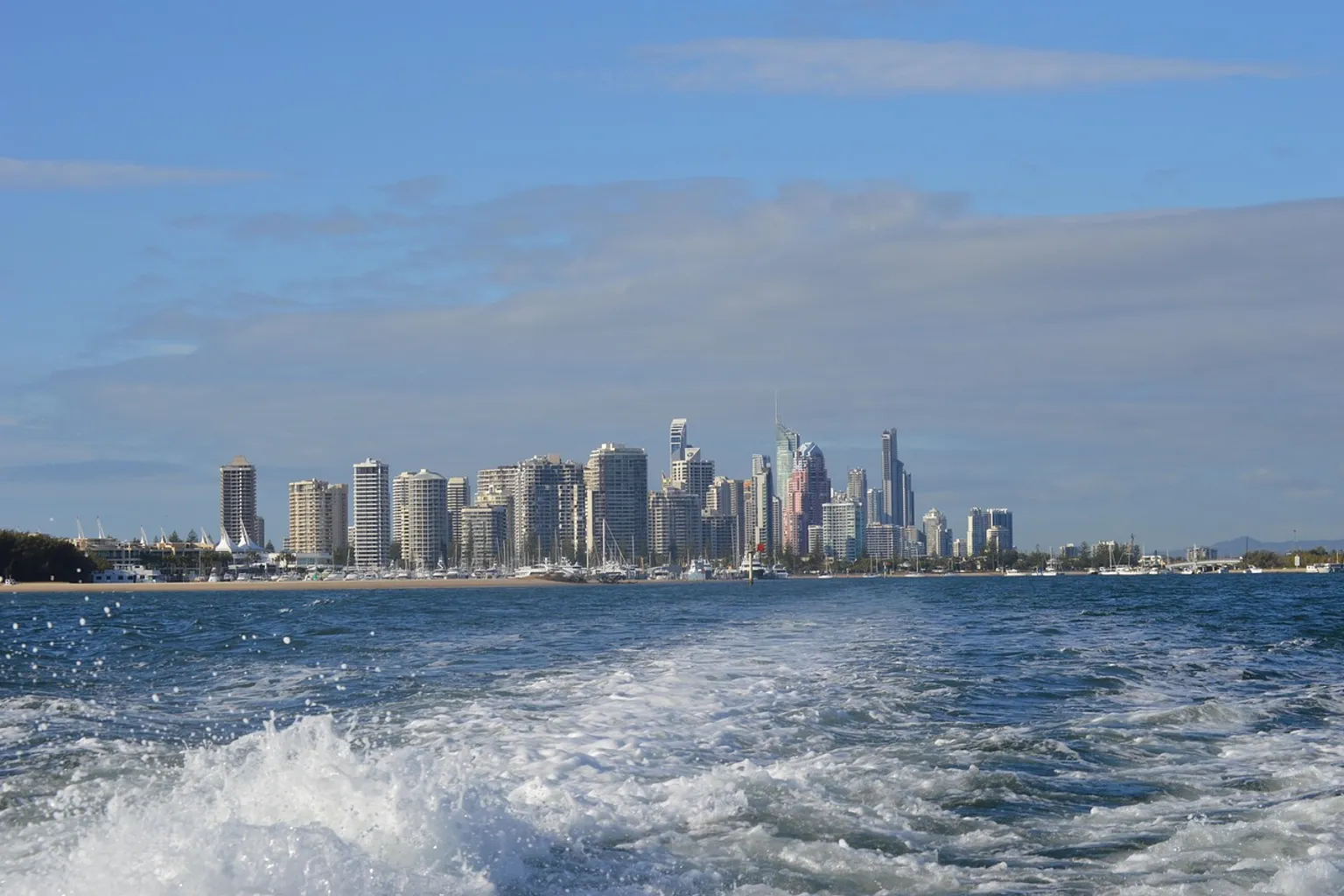 Whale Watching Gold Coast Tickets: Korrektur bei Buchungsfehlern